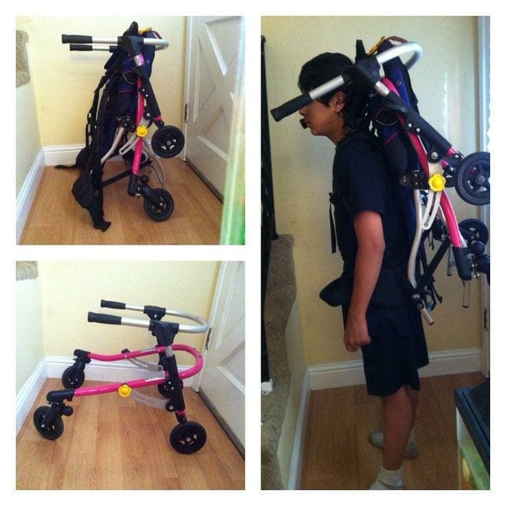 Parent Solution Carrier For Reverse Walker Parenting Special Needs