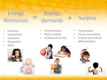 Diagram illustrating energy resources, demands, and surplus with corresponding activities and biological functions.