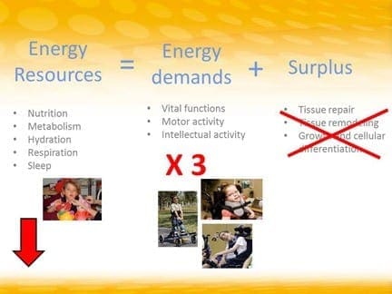 Chart showing energy resources, demands, and surplus with corresponding activities and images.
