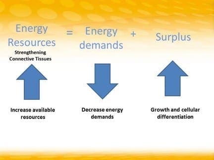 Diagram showing that increasing energy resources and decreasing energy demands leads to surplus for growth.