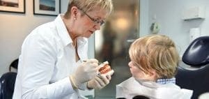 Dentist showing a child a dental model.