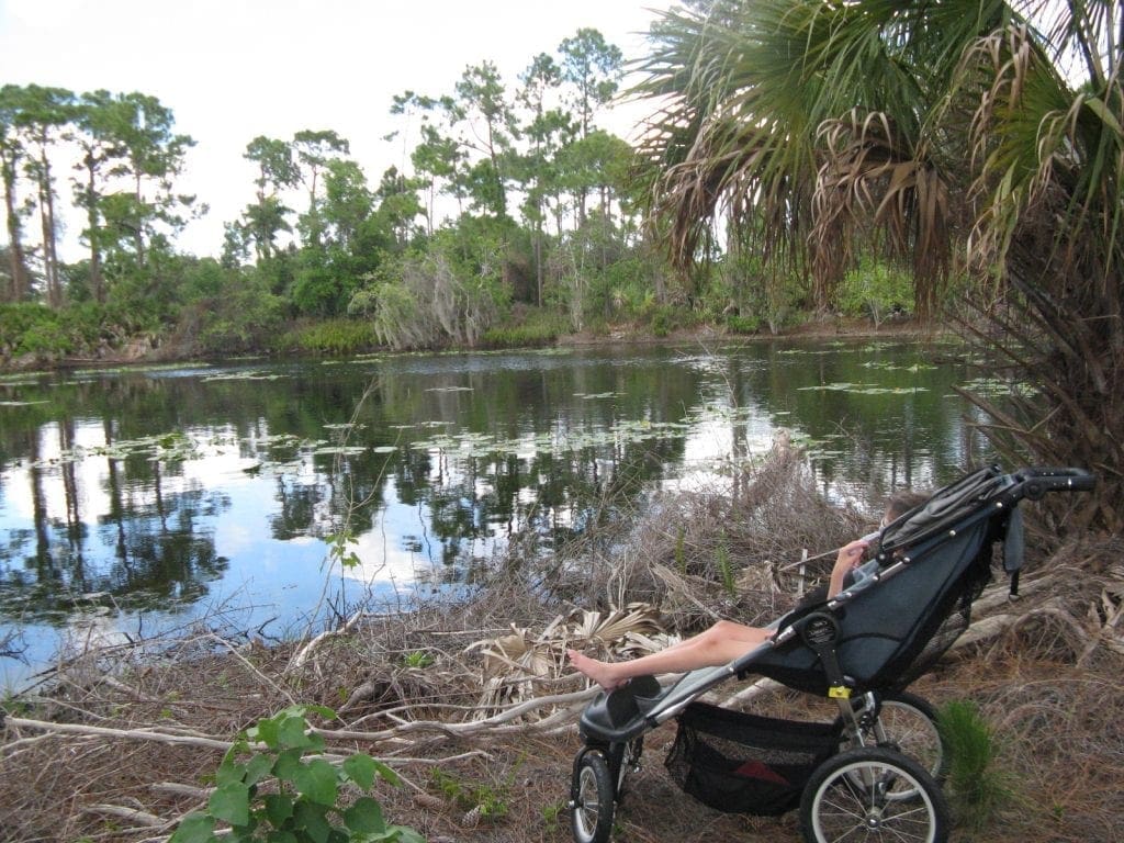 A child sits in a stroller near a body of water and trees.