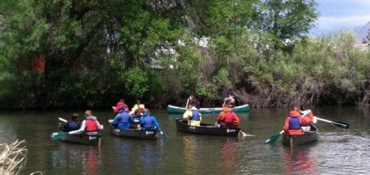 Group of people canoeing on a river surrounded by trees