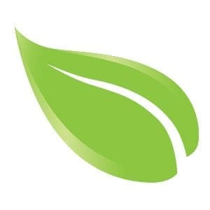 A stylized green leaf with a white stripe down the middle.