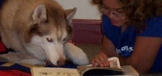 A husky rests its head on a book next to a young person wearing glasses.