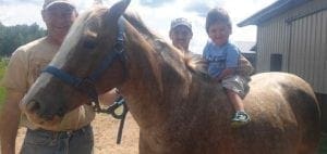A man holds a horse while a child sits on its back.