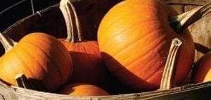 Pumpkins in a wooden basket