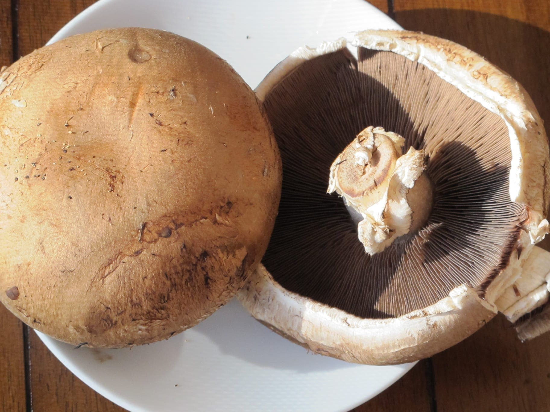 Two portobello mushrooms on a white plate, one whole and one cut in half to show gills.