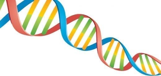 DNA double helix with red, blue, green, and yellow strands.