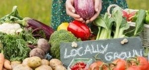 Assortment of fresh vegetables with a "Locally Grown" sign