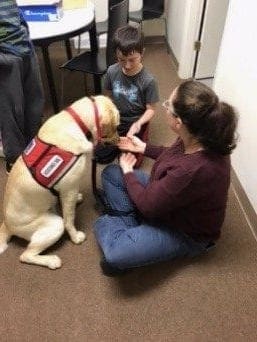 Monty the service dog shakes hands with a person sitting on the floor while a child watches.