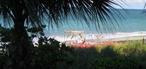 Beach scene with palm fronds in the foreground and a wedding canopy on the sand.