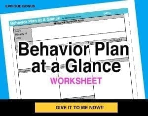 Behavior Plan at a Glance worksheet