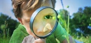 Young child looking through a magnifying glass at a blade of grass.