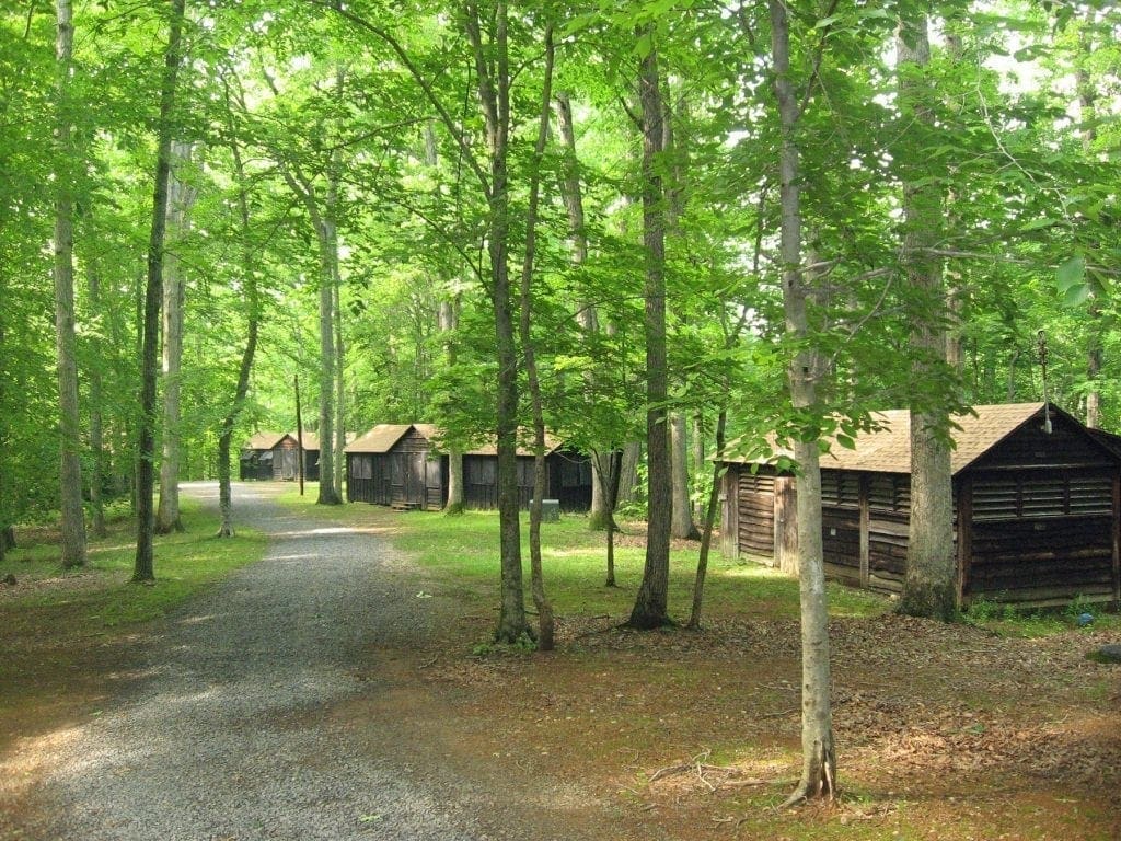 Small wooden cabins nestled in a lush green forest along a gravel path.