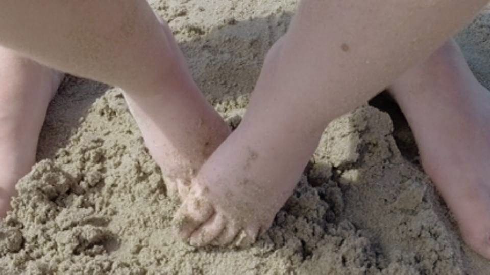 Two pairs of legs buried in sand.