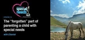 Podcast episode about the "forgotten" part of parenting a child with special needs.