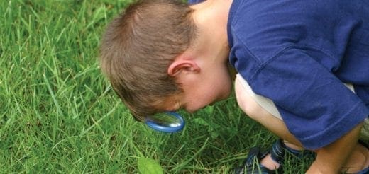 A boy looks through a magnifying glass at the grass.