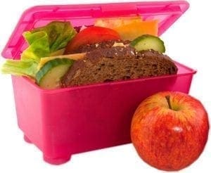 Lunchbox with sandwich, fruit, vegetables, and an apple.