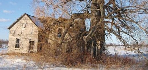 Abandoned house with a large tree in front on a snowy day.