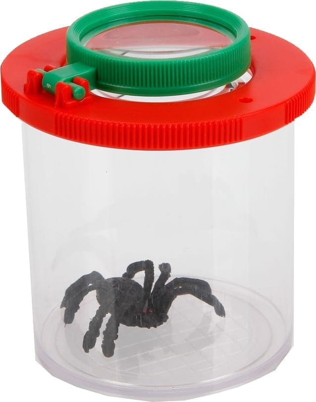 Magnifying container with a toy spider inside.