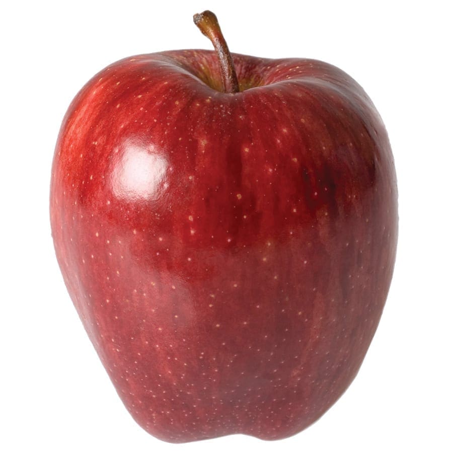Red Delicious apple with a stem.