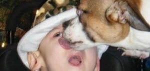 Jayden wears a Santa hat as a dog licks his face.