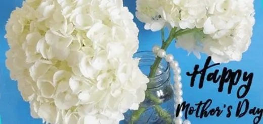 White hydrangeas in a jar with a string of pearls and "Happy Mother's Day" text.