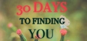 30 Days to Finding You text with a butterfly on a flower.
