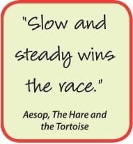 Slow and steady wins the race." - Aesop, The Hare and the Tortoise