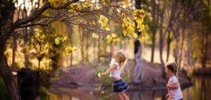 Two children look up at a tree with yellow flowers.