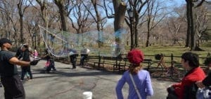 People blowing large bubbles in a park