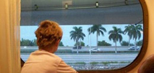 Child looking out a train window at palm trees and a highway.