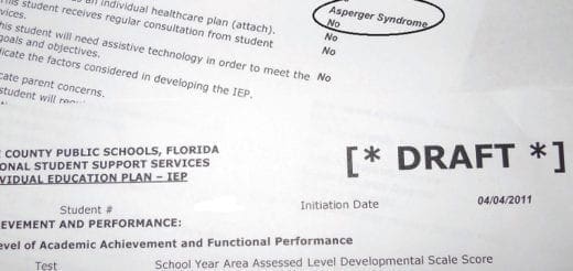 Draft Individualized Education Program (IEP) from County Public Schools, Florida.