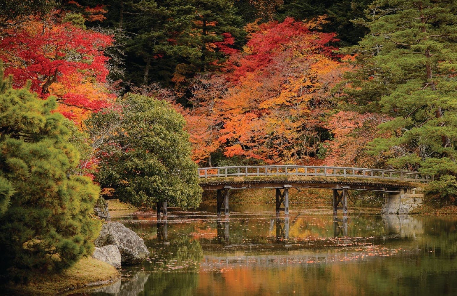 Fall foliage surrounds a wooden bridge over a calm pond at Shugakuin Rikyu Imperial Villa.