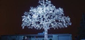 A tree is covered in white lights against a dark sky.