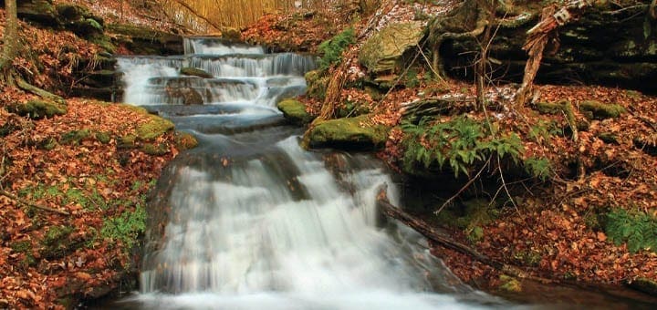 Cascading waterfalls flow over rocks in an autumn forest with fallen leaves.