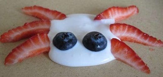 Silly creature made of yogurt, blueberries, and strawberries.