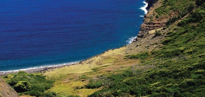 A rugged, green coastline meets the deep blue ocean.