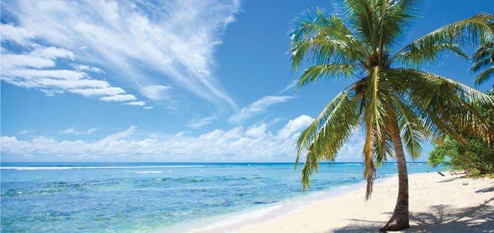 Tropical beach on Mentawai Island with a palm tree on the sand overlooking the ocean under a clear sky.