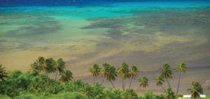 Tropical beach with palm trees and turquoise water