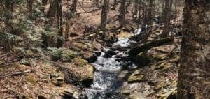 A shallow stream flows through a rocky, wooded area in Beech Mountain.