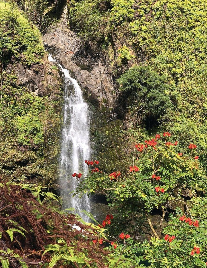 Waterfall in Hana, Hawaii, surrounded by lush greenery and red flowers.