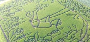 Mommy's Timeout Treinen Farm Maze carved into green grass.