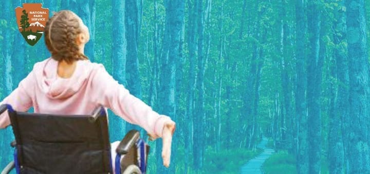 A person in a wheelchair looks up in a forest.