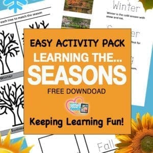 Easy Activity Pack Learning the Seasons Free Download Keeping Learning Fun!