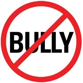 A red circle with a diagonal line through it, superimposed over the word "BULLY" on a white background.