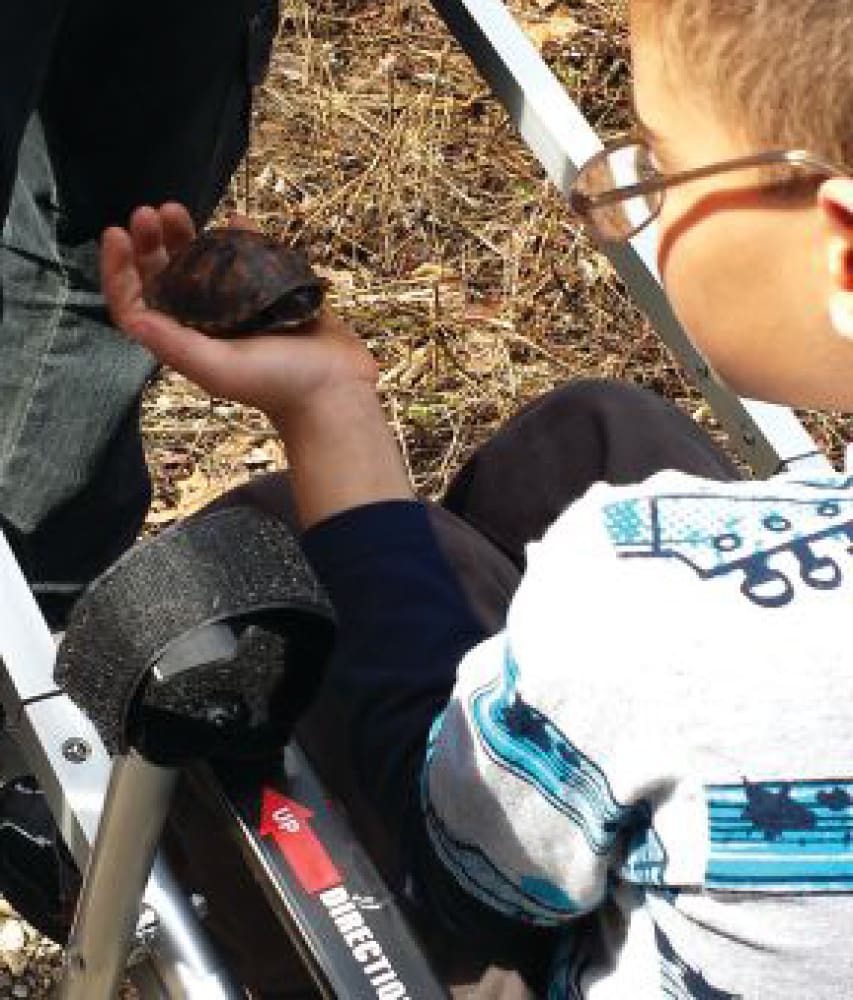 An 8-year-old boy wearing glasses holds a turtle discovered on a hike.