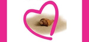 Seashell inside a pink heart outline