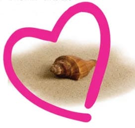 Seashell on sand within a pink heart outline